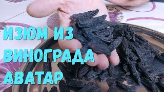 Изюм из винограда Аватар.