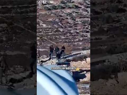 Video I coloni che assediano da giorni due famiglie palestinesi a Qusra