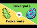 PROKARYOTES VS EUKARYOTES- How cells are different?