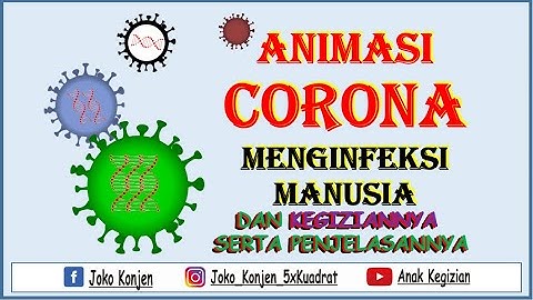 ANIMASI CORONA MENGINFEKSI MANUSIA, Bagaimana KEGIZIAN serta Penjelasannya?