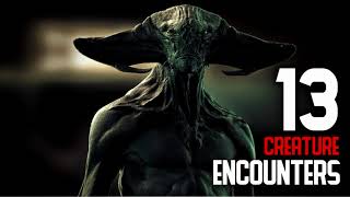 13 CREATURE ENCOUNTERS Encounters With Cryptids   What Lurks Beneath
