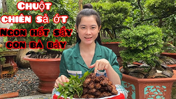 Chuột Chiên Sả Ớt | Ngon Hết Sẩy Con Bà Bảy | Ngân Top Official #99