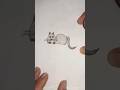How to draw cat #shorts#youtube @mormonjaiEDU
