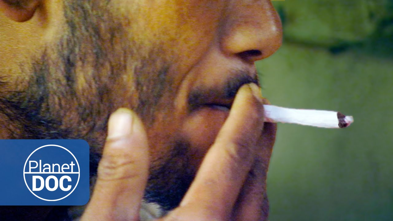 Documentary backdrop image for The Unicorn of India. The Taste of a Legend (2015)