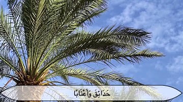 سورة النبأ للشيخ أحمد النفيس مؤثره جداً