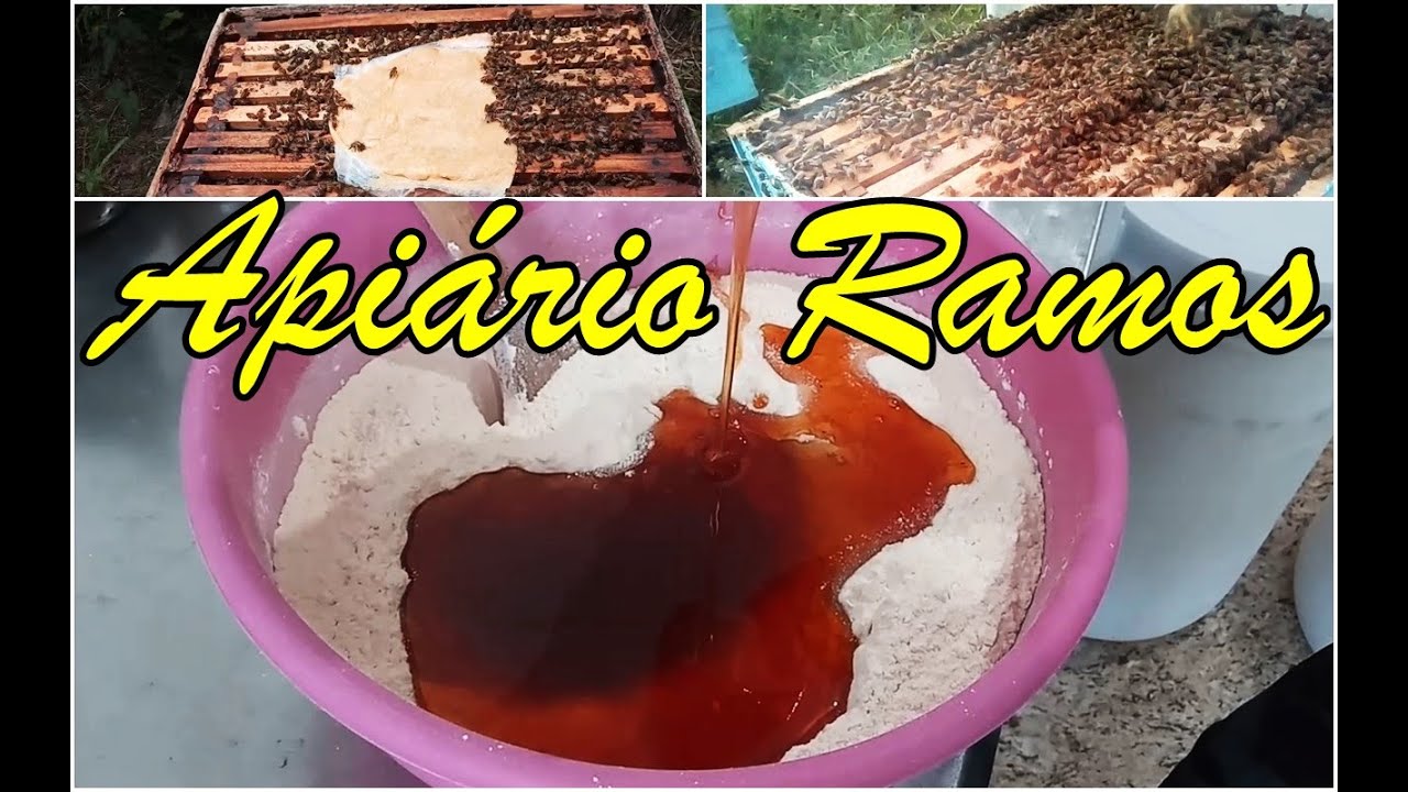 Como eu faço os bifes proteicos para abelhas apis parte 1