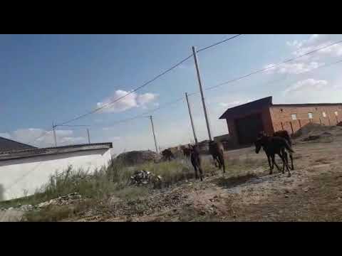 Аттар - YouTube