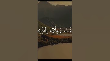 أذكروا الله | الزمر الآية - 69القارئ : #علي_جابر #fypシ #اكسبلور #alhidayah