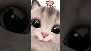 roommate😑😑#cutekitty #funnycats#catvideos#kittyfun #catlover#catlife#meow #catreels#viralvideo#cat