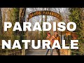 Parco Ittico Paradiso: Gemma nascosta nella Natura