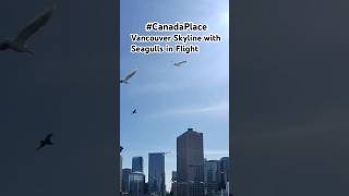 ❤️of Downtown Vancouver | Waterfront Overlooking Coal Harbour & the North Shore Mountains
