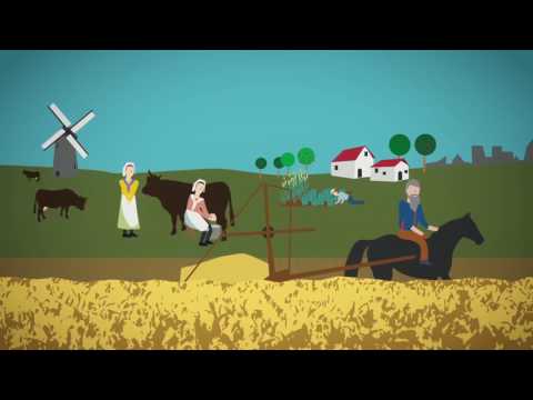 MIT: Video: History of Work