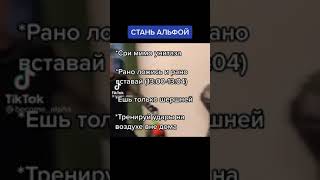 Как стать альфой