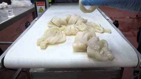 Pacific JS-300 - Squid Rings