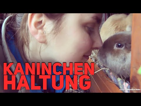 Video: Tipps Zur Adoption Von Kaninchen