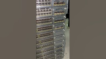 Second Hand Refurbished Cisco Networking Switche Sale And Purchase | SSIB Computer