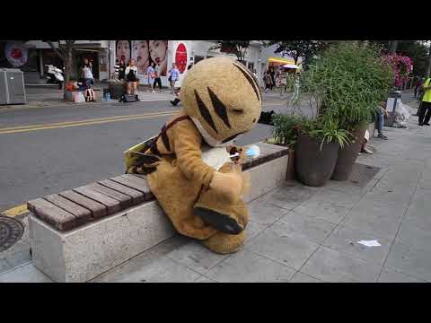 JHKTV] 신촌 명물고양이 너희만 먹냐 shin chon special <strong>cat</strong> Do you <strong>eat</strong> only