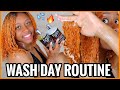 WASH DAY ROUTINE FOR DRY\COLOR TREATED NATURAL HAIR | DETANGLING, DIY HOT OIL TREATMENT + MORE | KE