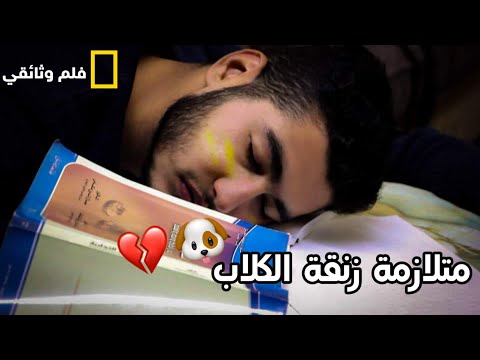 مرض متلازمة زنقة الكلاب زنقة الكلاب 2