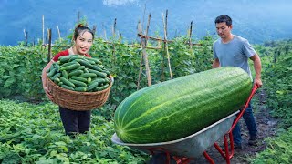 Download Lagu 一位單身女性採摘自己種植的黃瓜、橘子和番荔枝，拿到市場上去賣。 MP3