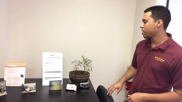 A Walk Through Tour of E-Z Photo Scan