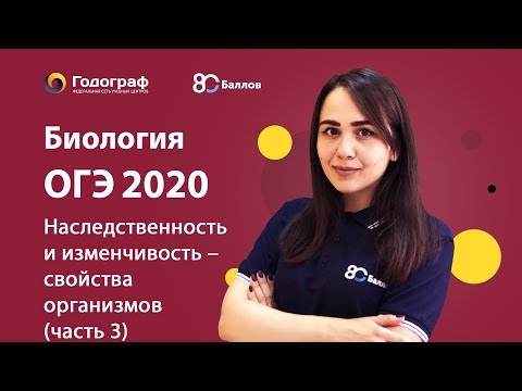 ОГЭ по Биологии 2020. Наследственность и изменчивость – свойства организмов (часть 3)