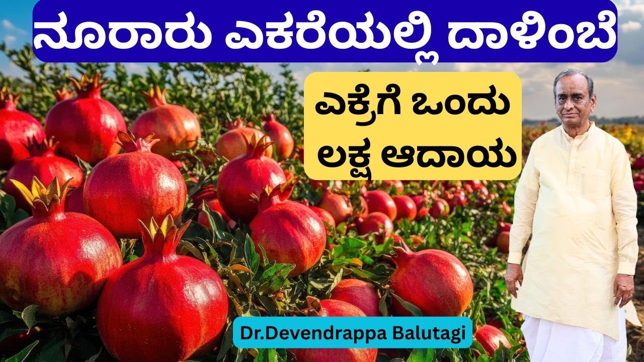 ನಾನು ಒಂದೇ ಎಕರೆಯಿಂದ 120 ಎಕರೆ ಜಮೀನು ಮಾಡಿದೆ.!! ಕೃಷಿಯಲ್ಲಿ ಲಾಭ ಇಲ್ಲ  ಅಂದವರ್ಯಾರು.?