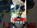 エイリアンが明かした人類の起源がヤバすぎる!#都市伝説 #怖い話