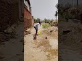 #cricket #shorts #sports #video