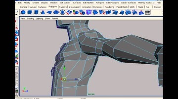 Organic Modeling: Chap 3: Torso - Part 1