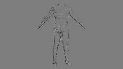 Human Body 3D Model - Wireframe