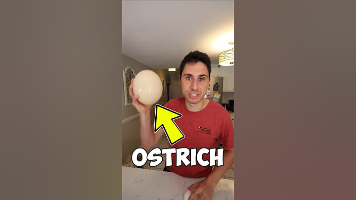 Eating an Ostrich Egg!