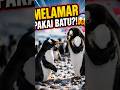 🔥 Penguin Jantan Melamar Pasangannya Pakai Batu? 💍 #viral #faktaunik #edukasi