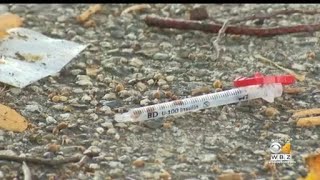 Volunteers find needles while cleaning up Clifford Park in Roxbury