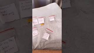Perfekte Vorbereitung zum Applied Kinesiology Test