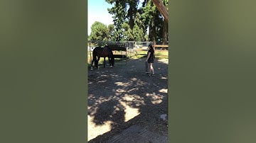 NL video assignment #1 part 1