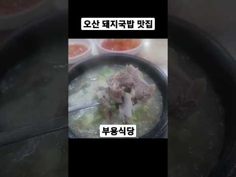 오산 인생국밥집 발견했어요 소문난 오산 돼지국밥 맛집 부용식당 #shorts