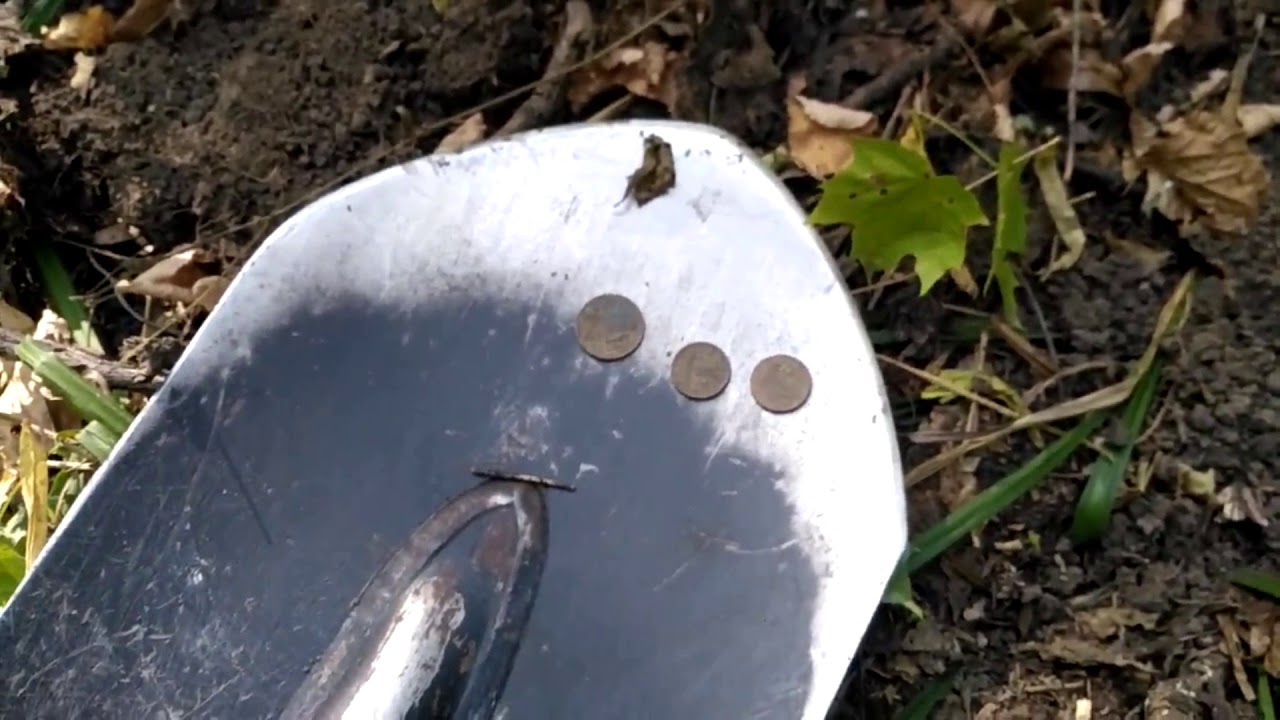 История лесной опушки, как это было - YouTube