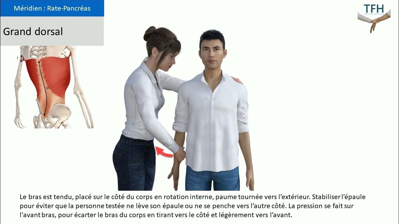 Test Muscle Grand dorsal Kinésiologie / Touch for Health / TFH YouTube