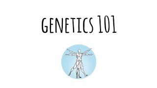 Genetics 101 | Ambry Genetics
