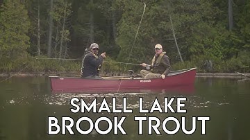 Catching Brook Trout in Small Lakes