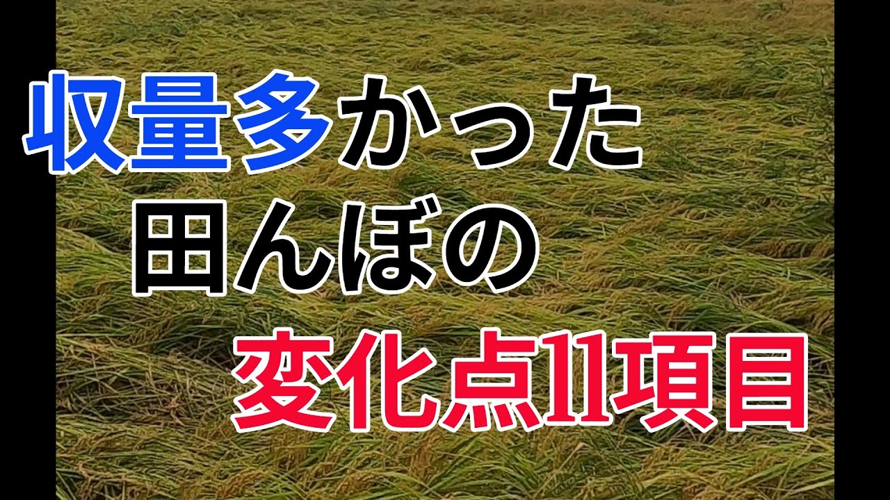 収量が多かった田んぼに実施した例年との変化点11点を紹介