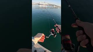 Ότι χειρότερο... #lrf #ψάρεμα #fishing