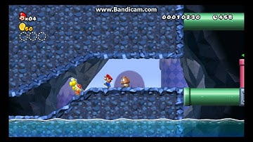 New Super Mario Brothers. Wii Custom Level