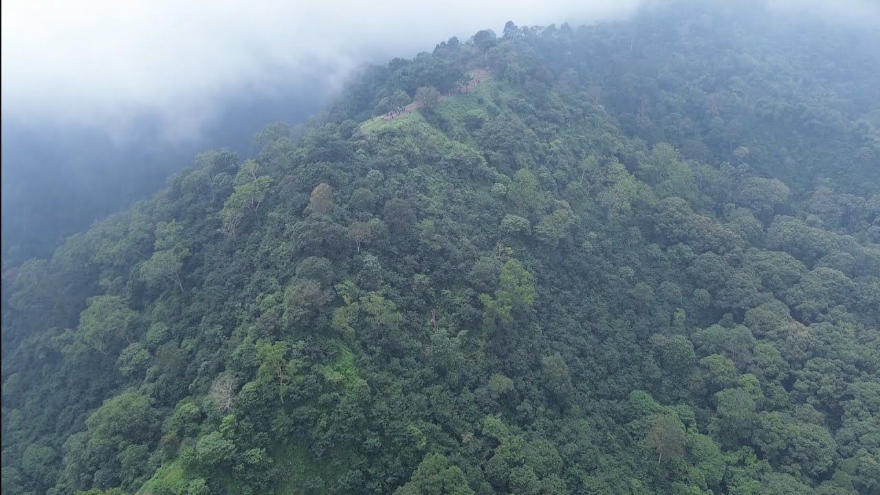 Misteri gunung lorokan berkabut 