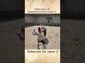 What 100+ Hours  Of Longsword Practice Looks Like | Half Sword Early Access