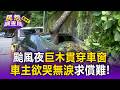 颱風夜遭巨木貫穿車窗！ 台北文山邊坡「產權複雜」車主欲哭無淚恐難求償【民怨調查局】