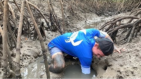 HOW TO CATCH MUDCRABS (Bare Handed Technique)