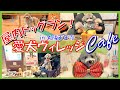 【犬とお出かけ】大阪天王寺 室内ドッグラン&カフェ愛犬ヴィレッジに愛犬トルテと行ってみた