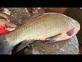 Amazing Big Katla Fish Cleaning &amp; Cutting By Expert Fish Cutter | Fish Cutting Skills